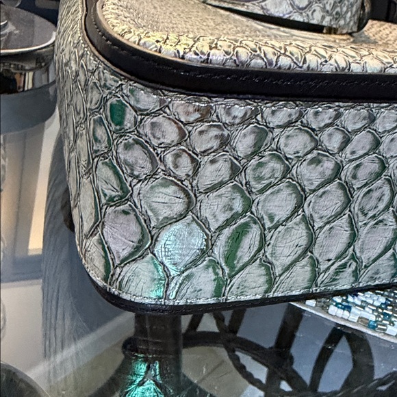 Brahmin Tabitha berry Potion Cimorene - Picture 2 of 8